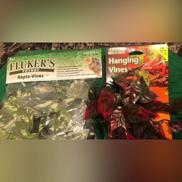 Reptile Hanging Vines - Picture 2 of 3